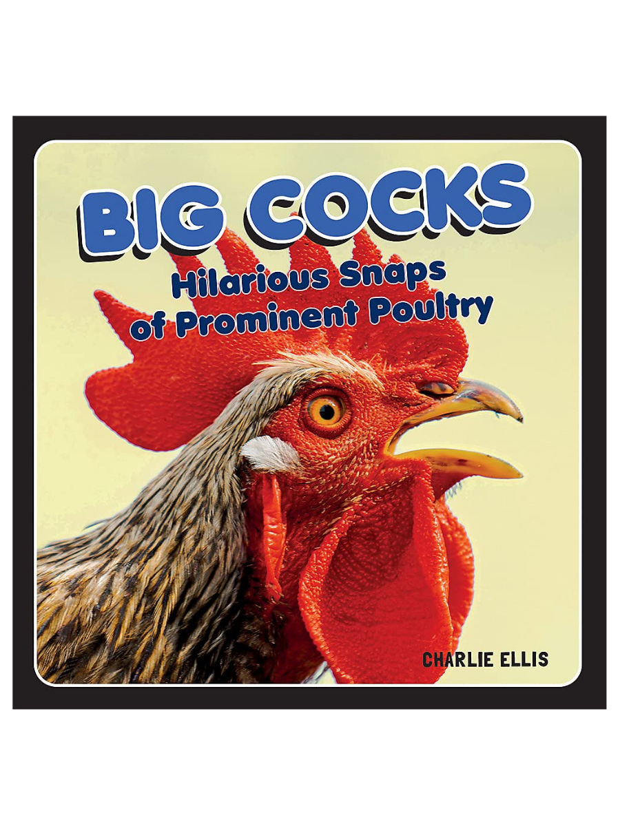 Big Cocks Hilarious Snaps Of Prominent Poultry Sexology Institute 8082